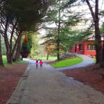 Encuentro de familias de otoño