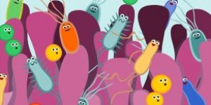 microbiota-intestinal